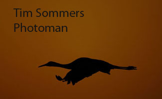 sommers